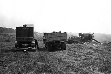 View of WCM site - Looking east.